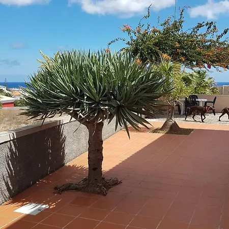 Casa Do Cisne Porto Santo